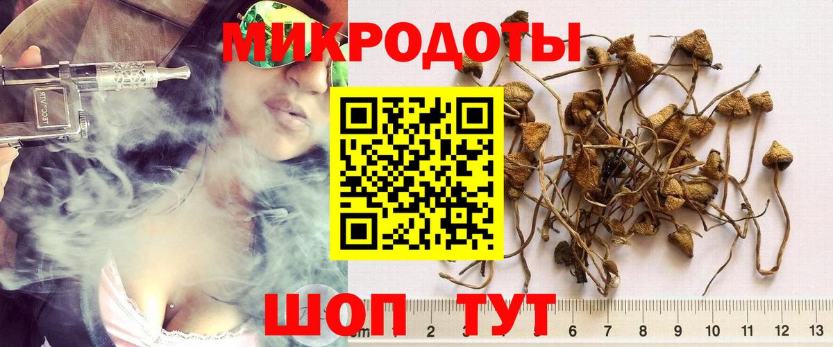 Ахтубинск  Псилоцибиновые грибы прущие грибы  Вход с VPN 